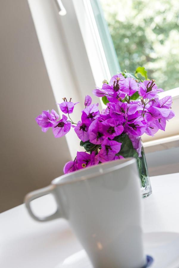 Dubrovnik Apartments Lele Ngoại thất bức ảnh